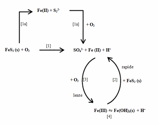 ModelfortheOxidationofPyrite fr.gif